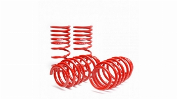 Skunk2 Lowering Springs Civic 2006-2011
