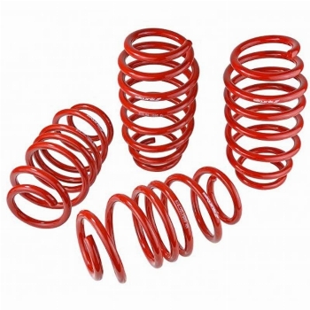 Skunk2 / Lowering Springs  Civic / ILX / 2012-2015