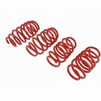 Skunk2 / Lowering Springs  Civic / ILX / 2012-2015