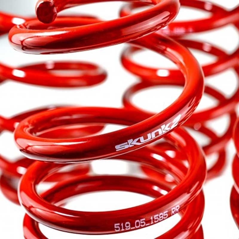 Skunk2 / Lowering Springs  Civic / ILX / 2012-2015