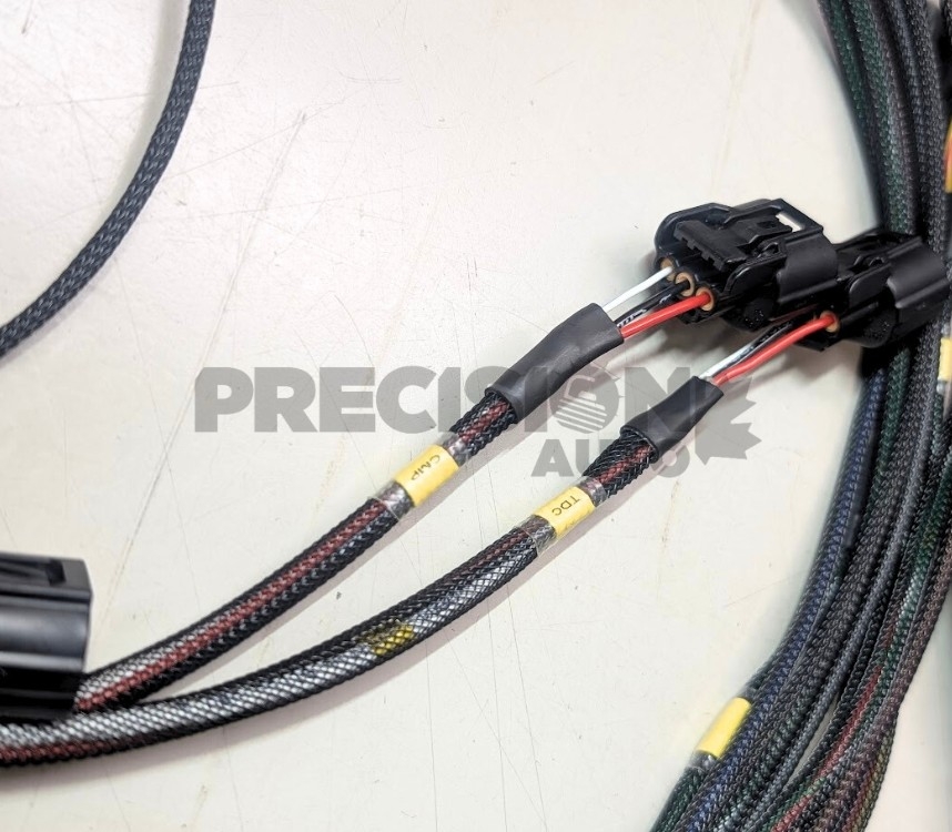 Engine Harness K20 HRL / Version Mesh