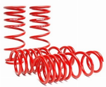 Skunk2 Lowering Springs S2000 2000-09