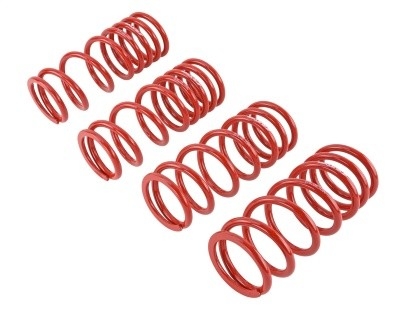 Skunk2 Lowering Springs S2000 2000-09