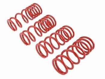 Skunk2 Lowering Springs S2000 2000-09