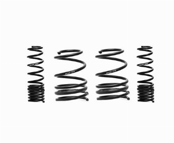 Swift R Lowering Springs S2000 2000-09