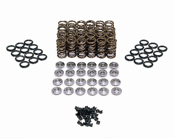 FERREA - VALVE SPRING KIT CIVIC TYPE R FK8 K20C1