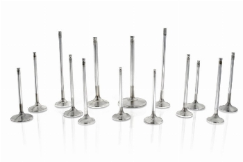 FERREA - Competition Plus Exhaust Valves 29mm STD SINGLE / Honda K20C