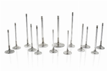 FERREA - Competition Plus Intake Valve 35mm STD - SINGLE / Honda Civic Type R 2017+ FK8 K20C1