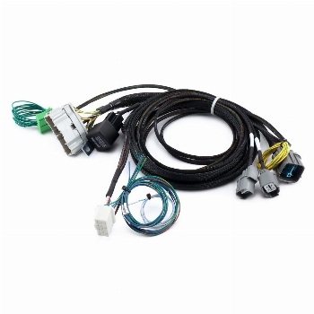 Hybrid Racing K SWAP CONVERSION HARNESS Civic 1999-00