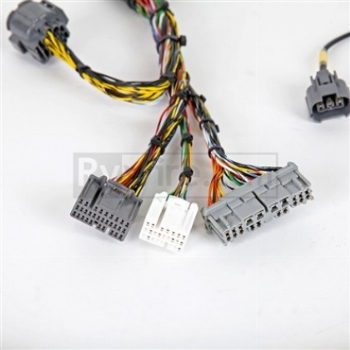 RYWIRE Honda K Series Milspec Harness For 2002-04 K Series ECU
