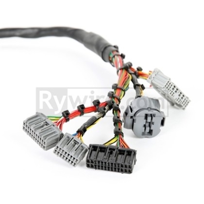 RYWIRE Honda B Series RaceSpec OBD-1 Harness For OBD-2 Alt/Dist 10Pins, OBD-1 ECU