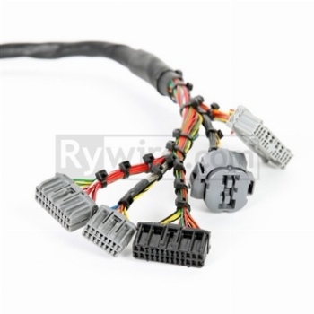 RYWIRE Honda B Series RaceSpec OBD-1 Harness For OBD-2 Alt/Dist 10Pins, OBD-1 ECU