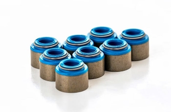 FERREA - Valve Seal Intake 5.5 MM (UNITÉ)