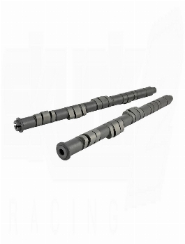Skunk2 Pro Stage 2  Camshaft - B VTEC