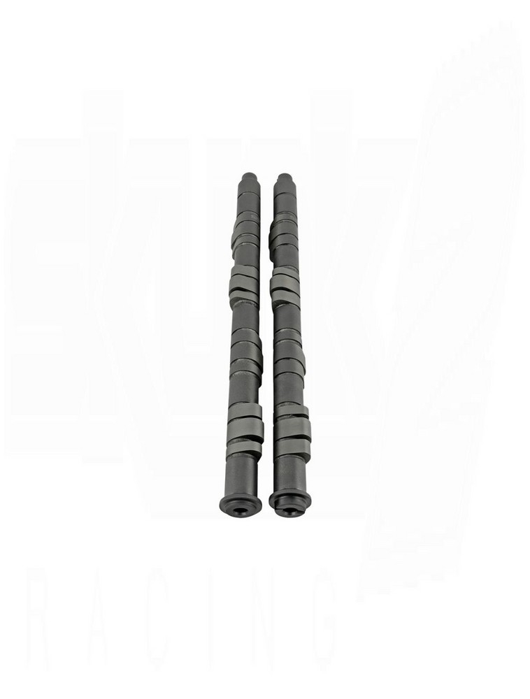 Skunk2 Pro Stage 2  Camshaft - B VTEC