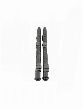 Skunk2 Pro Stage 2  Camshaft - B VTEC