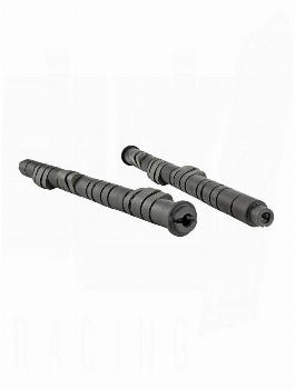Skunk2 Pro Stage 2  Camshaft - B VTEC