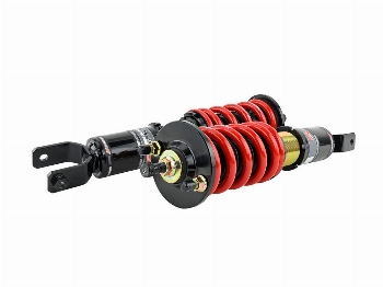 Skunk2 Pro ST Coilovers 1992-1995 Civic, 1994-2001 Integra