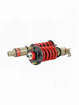 SKUNK2 Pro S II Coilovers Fork type Civic/CRX 1988-1991