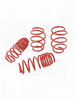 SKUNK2 Lowering Springs Civic 2016-2021 (Type R Excluded)