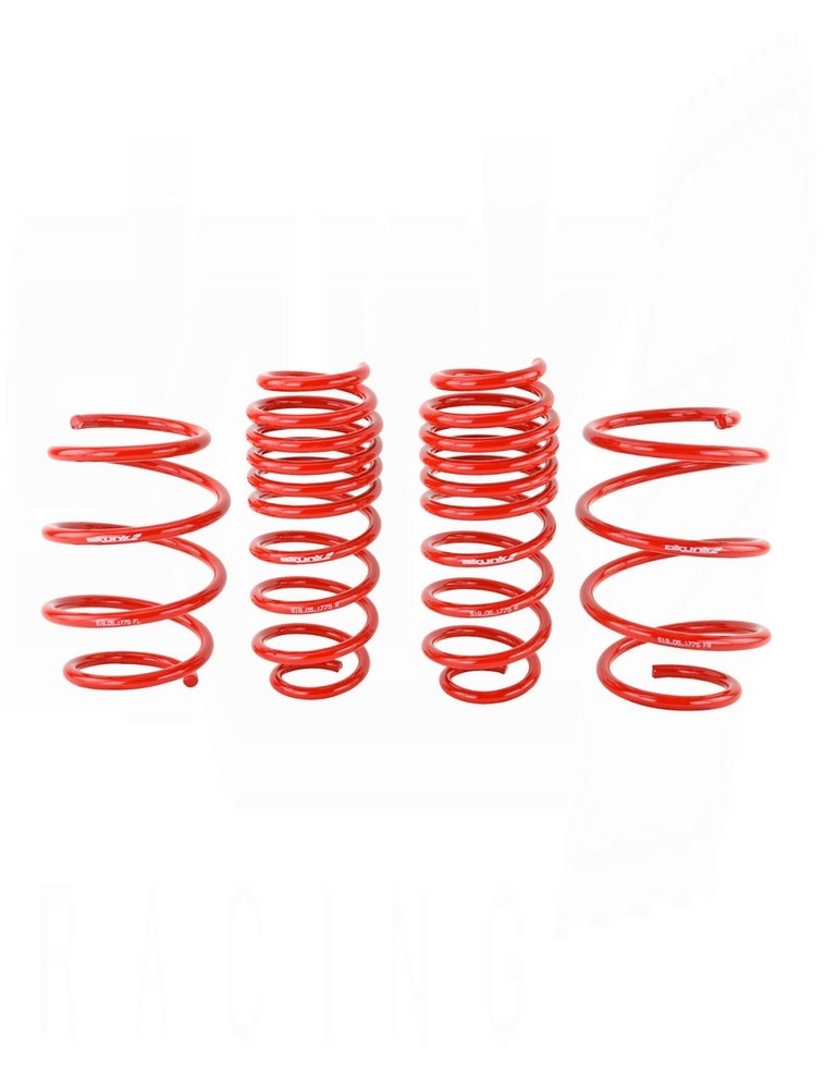 SKUNK2 Lowering Springs Civic 2016-2021 (Type R Excluded)
