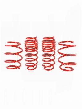 SKUNK2 Lowering Springs Civic 2016-2021 (Type R Excluded)