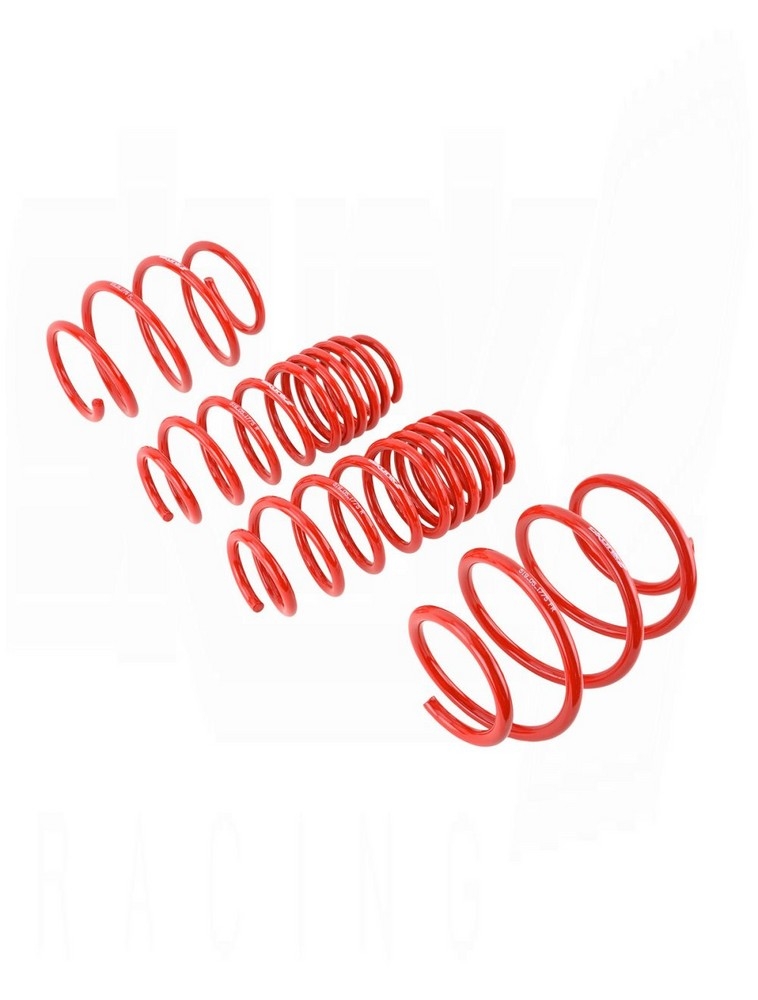 SKUNK2 Lowering Springs Civic 2016-2021 (Type R Excluded)