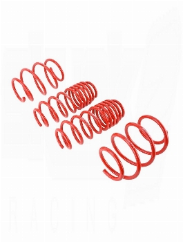 SKUNK2 Lowering Springs Civic 2016-2021 (Type R Excluded)