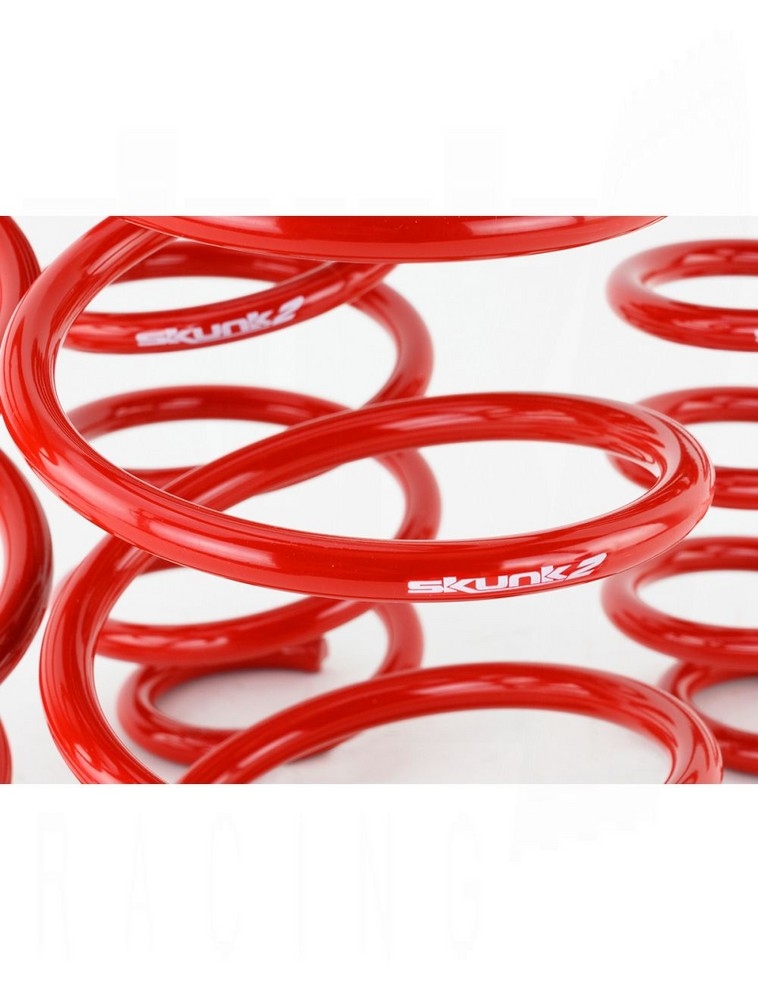 SKUNK2 Lowering Springs Civic 2016-2021 (Type R Excluded)