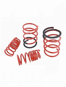 SKUNK2 Lowerings Springs Acura RSX 2005-2006