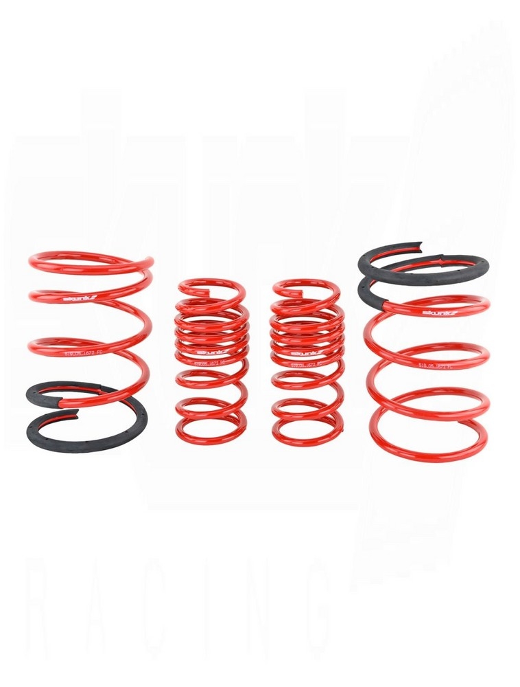 SKUNK2 Lowerings Springs Acura RSX 2005-2006