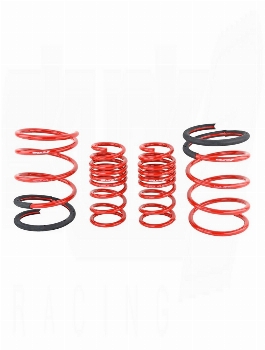 SKUNK2 Lowerings Springs Acura RSX 2005-2006