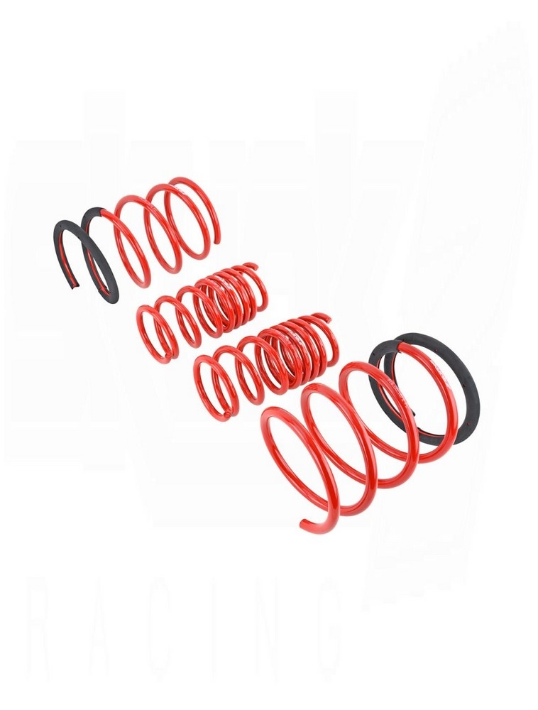 SKUNK2 Lowerings Springs Acura RSX 2005-2006