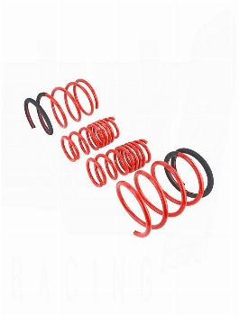 SKUNK2 Lowerings Springs Acura RSX 2005-2006