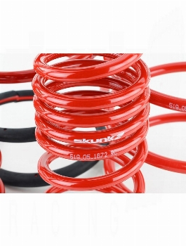 SKUNK2 Lowerings Springs Acura RSX 2005-2006