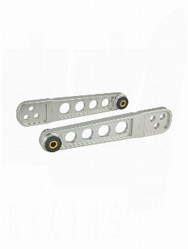 SKUNK2 Pro Rear LCA  Acura RSX 2002-2006/Honda Element 2003-2006