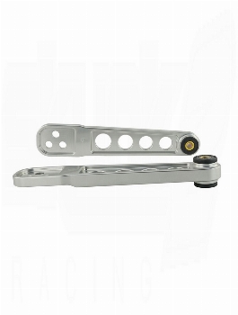 SKUNK2 Pro Rear LCA  Acura RSX 2002-2006/Honda Element 2003-2006