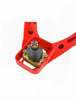 SKUNK2 Pro Series Front Camber Kit Civic 1996-2000