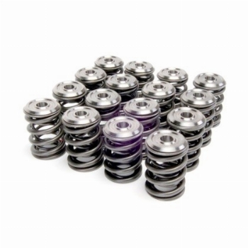 SKUNK2 Alpha B series Springs/Retainers Kit