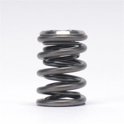 SKUNK2 Alpha B series Springs/Retainers Kit