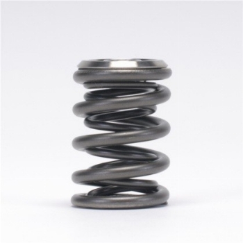 SKUNK2 Alpha B series Springs/Retainers Kit