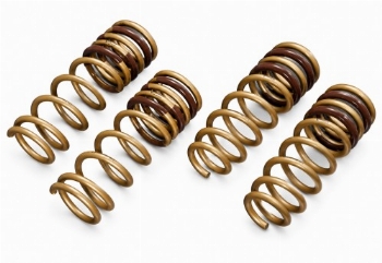 TEIN H-Tech Lowering Springs Honda Civic 1996-2000