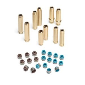 VALVE GUIDES/SEALS